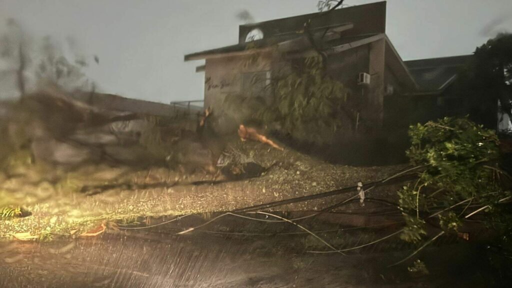 Árvore cai e bloqueia rua em Campo Grande; moradores alertam prefeitura