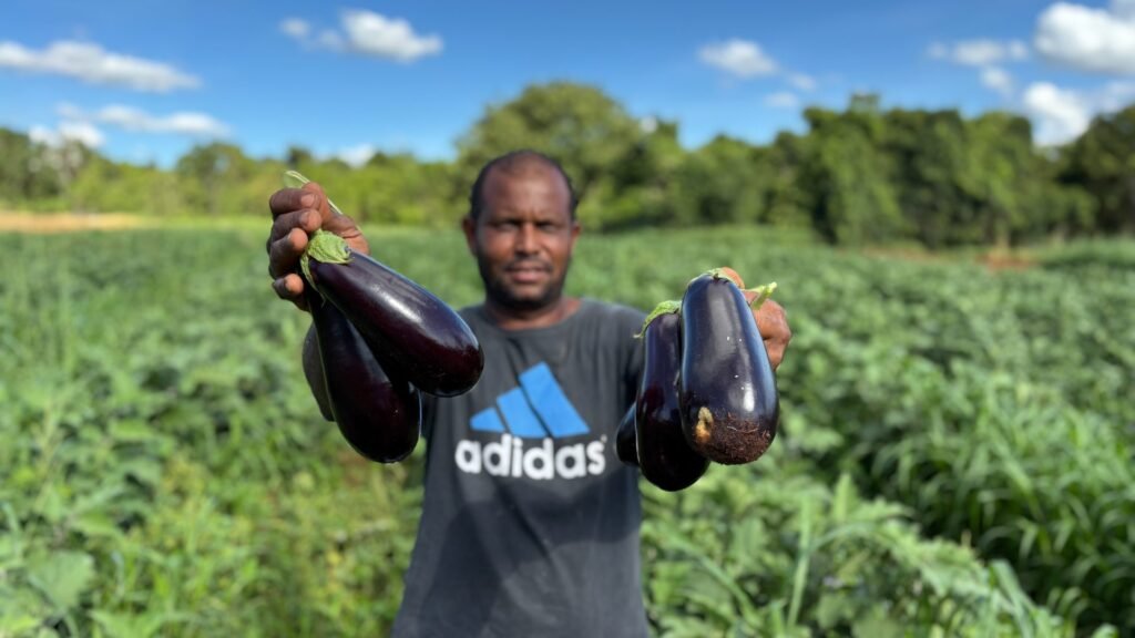 Alimentação Escolar da REE/MS impulsiona aprendizagem e fortalece agricultores familiares – Agência de Noticias do Governo de Mato Grosso do Sul