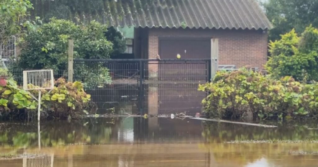 Doações dos EUA desviadas no RS serão entregues às vítimas das enchentes