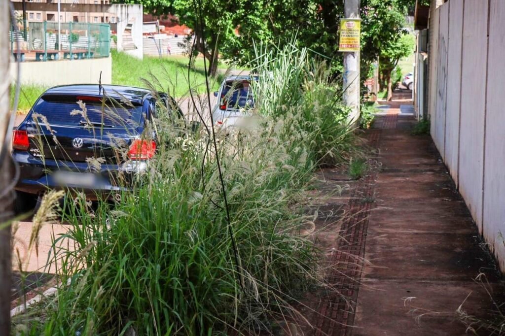 Mato alto toma conta de calçadas na Orla após mudança em serviço de limpeza