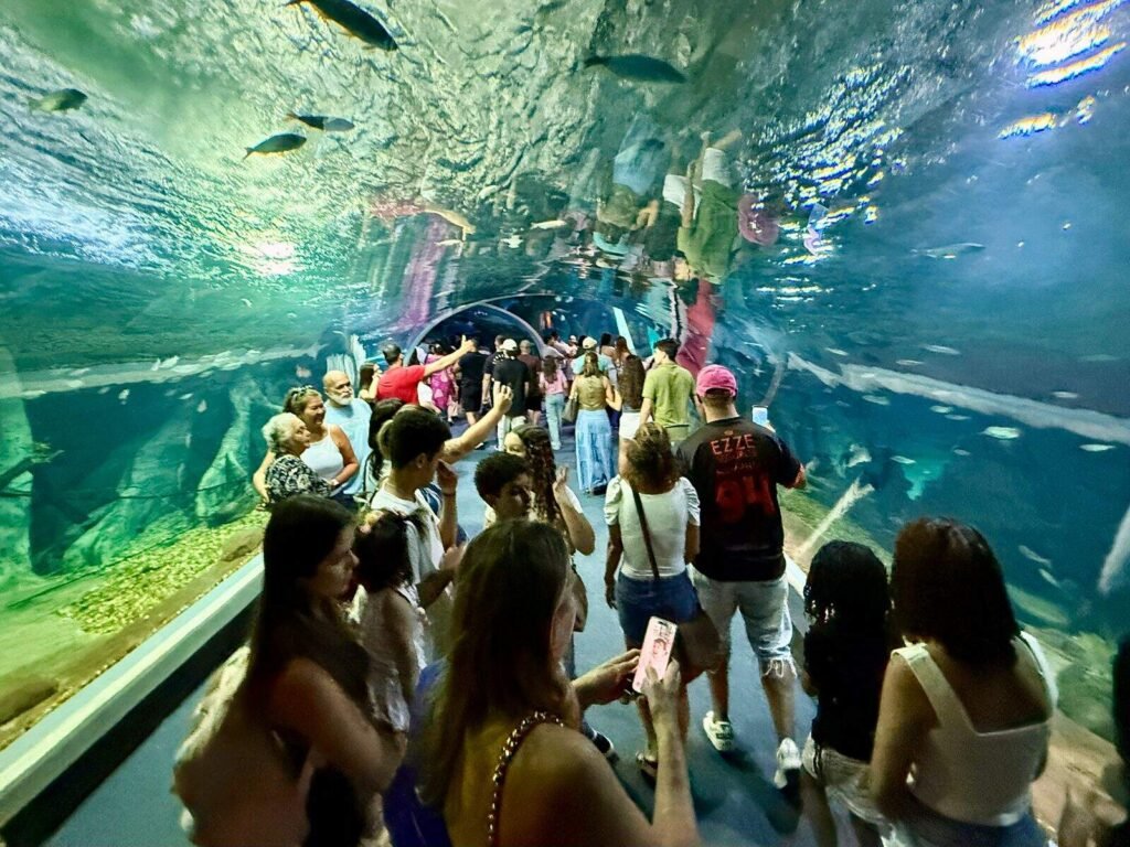 Últimos dias para visitar o Bioparque Pantanal em 2025