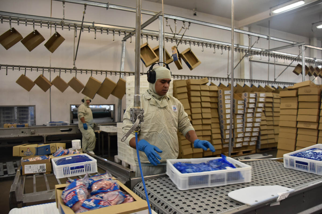 Indústria de MS bate recorde e domina 73% das exportações em 2025