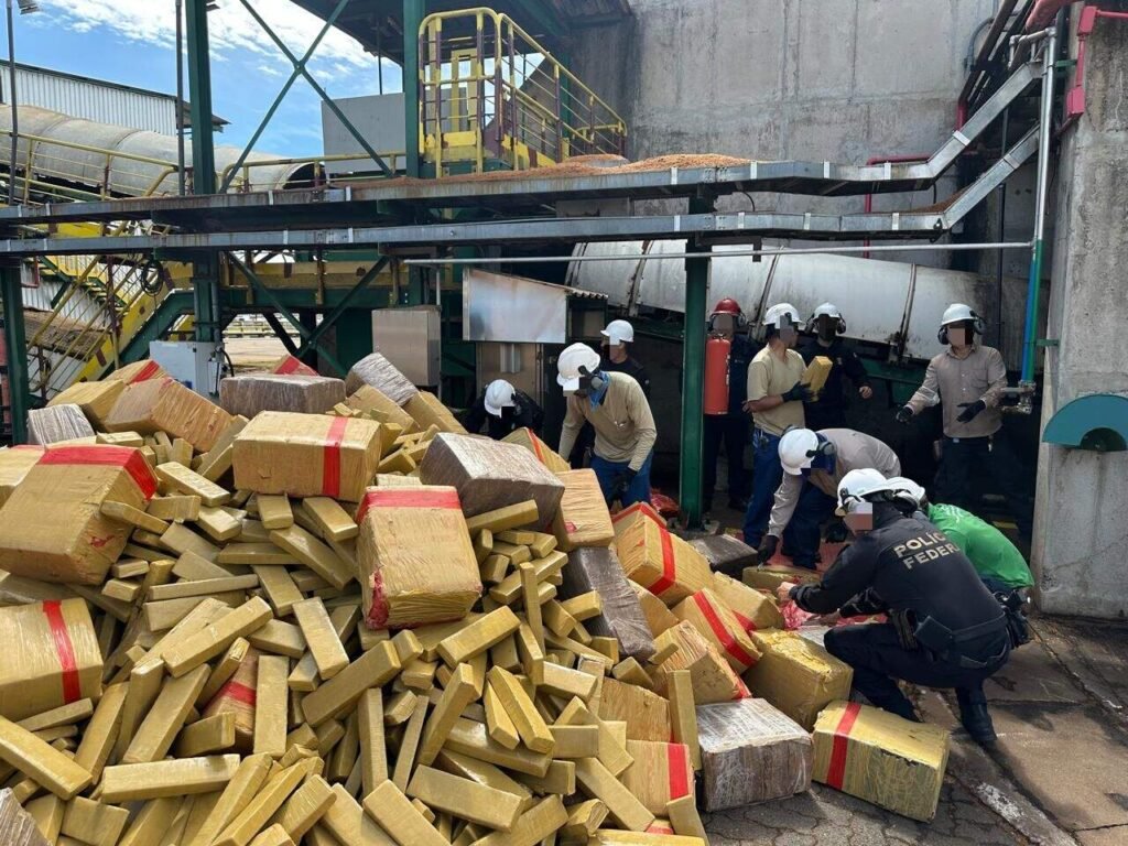PF destrói 8,2 toneladas de drogas em 1ª queima do ano