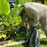 MS registra 42 casos confirmados de dengue – Agência de Noticias do Governo de Mato Grosso do Sul