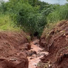 Morador abre valeta para conter enxurradas