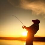 saiba tudo sobre a reabertura neste domingo, 1º de março