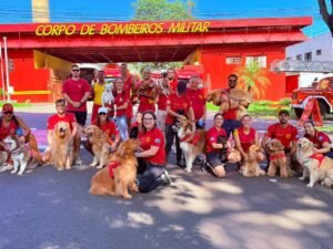 Ação Solidária com Cães Terapeutas em Campo Grande