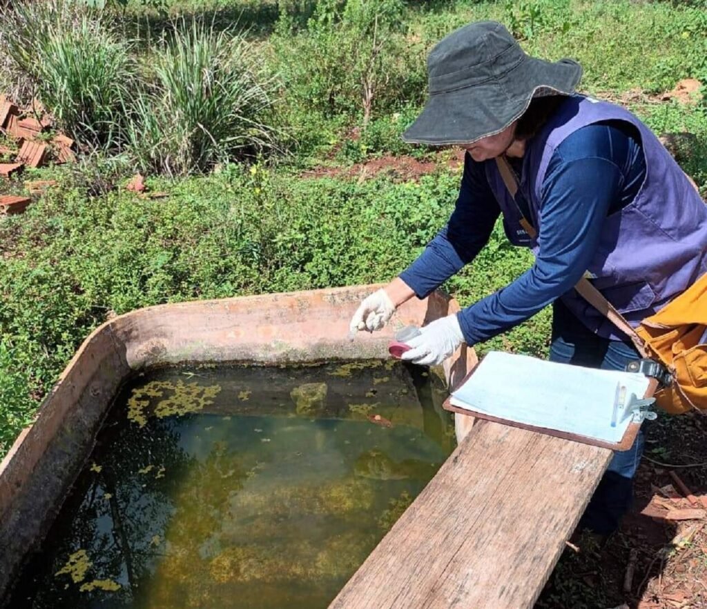 Chikungunya mata 4 indígenas em MS em 2026