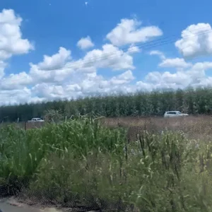 Colisão de Carretas Interdita BR-262 e Provoca Congestionamento