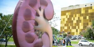 Dia Mundial do Rim: doenças renais são silenciosas e exigem atenção