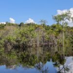 Governo levantou R$ 179 bi desde 2023 para transição ecológica