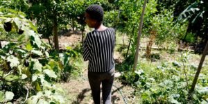 Horta comunitária reúne memória, cuidado e cidadania em favela do Rio