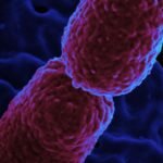 Hospital em Campinas restringe atendimento para conter superbactéria