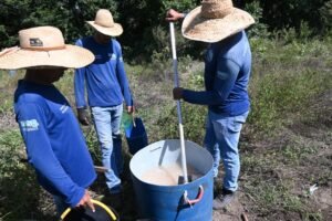 Projeto ambiental fortalece recuperação ambiental em Bonito com atuação conjunta ao Governo de MS