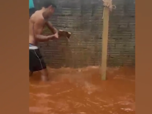 riscos e previsão para 19 de março