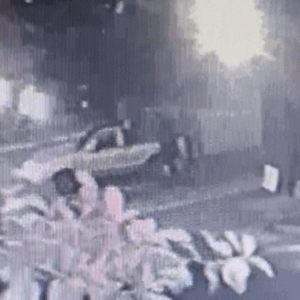 Estátua de leão de 150 kg é furtada de hamburgueria em CG