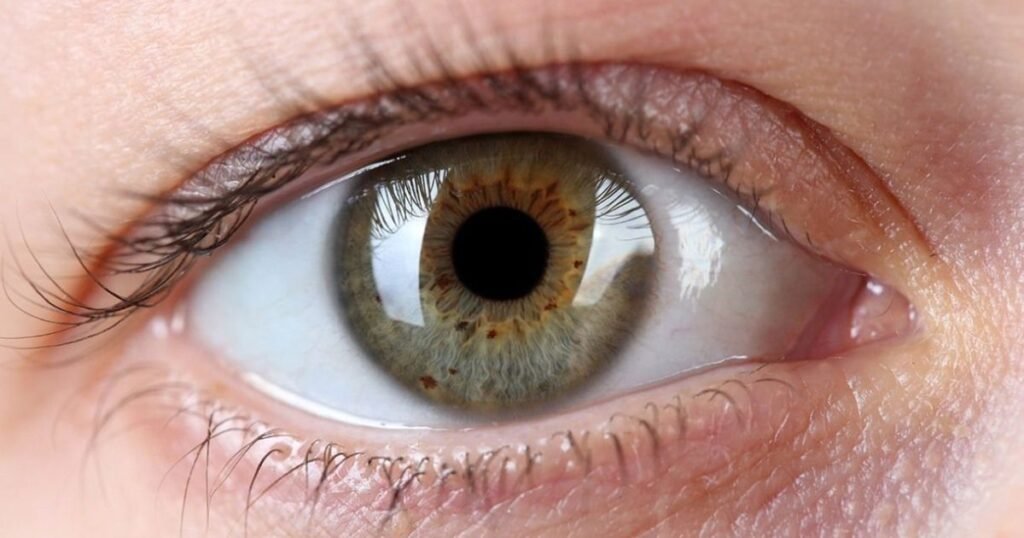 Maioria dos casos de cegueira pode ser evitada, mas diagnóstico ainda falha