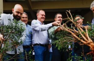 Para fortalecer cadeia produtiva da laranja, Riedel participa de remoção simbólica de murtas na Expogrande