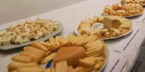 Brasil começa a importar queijo mais barato após acordo Mercosul–UE