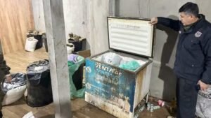 Laboratório de 'maconha premium' é destruído no Paraguai