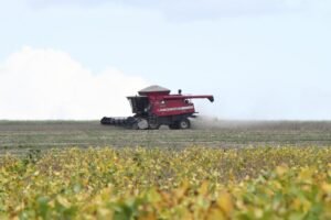 MS avança e agro cresce como vitrine de inovação e futuro das cadeias produtivas – Agência de Noticias do Governo de Mato Grosso do Sul