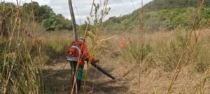 Brigada Alto Pantanal zera incêndios no 1º semestre de 2026