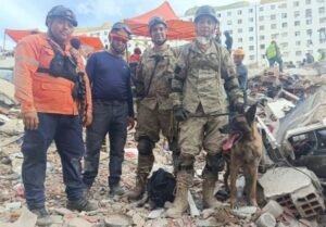 Cão socorrista argentino encontra crianças vivas em escombros