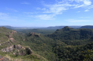 Desmatamento cai 65% no Pantanal e 11,5% no Cerrado