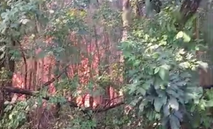 Incêndio atinge Jardim Ametista em Campo Grande neste domingo