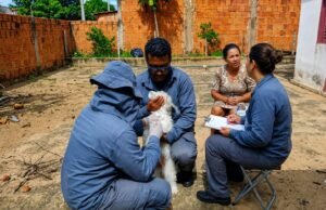 Vacinação antirrábica de cães e gatos começa em Campo Grande