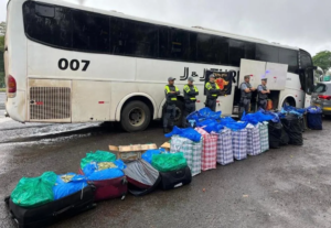 746 kg de folhas de coca são apreendidos em ônibus