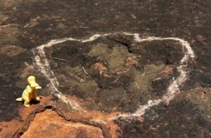 Pegadas de dinossauros de 150 mi de anos são achadas em MS