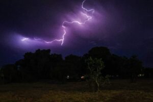 Raio provoca incêndio no Pantanal de Mato Grosso do Sul